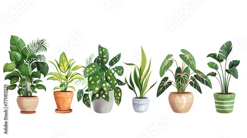 Houseplants in repurposed containers, stages of growth, vector illustration, isolated