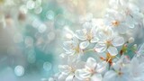 Serene Spring Blossoms - Tranquil Nature Scene with Soft Focus. White Fragrant Flowers in Dreamy Light. Ideal for Relaxation and Backgrounds. AI