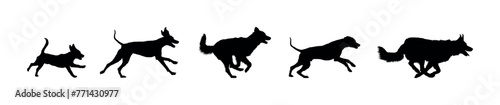 Dogs running side view vector black silhouettes.  