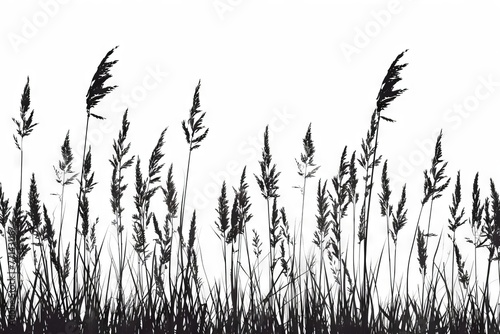Nature's Silhouette Tall Meadow Grass Cutout on White Background