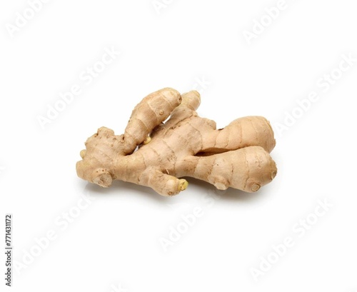 Fresh ginger has strong health benefits comparable to those of dried, but tea made with dried ginger may have a milder flavor.