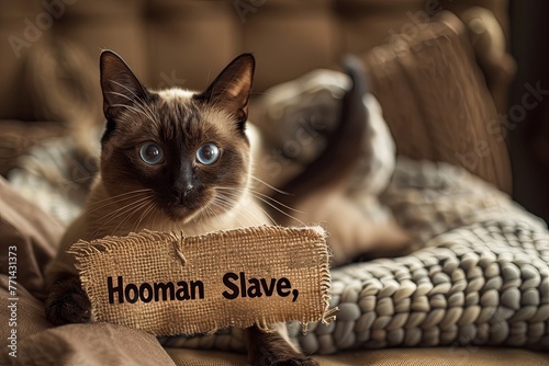 sleek Siamese cat lounging on a plush cushion, holding a sign that reads "Hooman Slave" as it gazes imperiously at its human companion, demanding attention and treats with regal disdain