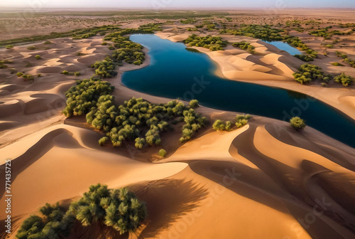 Aerial photography of sand dunes and trees in an oasis in Sahara desert. Bird's-eye view of hang glider on vast expanses of desert, near city of El Jam, Tunisia, Africa. Selective focus