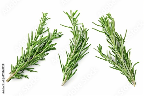 Green Rosemary isolated on white background With clipping path. Full depth of field. Focus stacking. PNG, Generative AI 