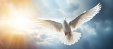 A Charadriiformes bird, the white dove, gracefully soars through the sky with its wings spread, displaying the beauty of wildlife and the science of aerodynamics