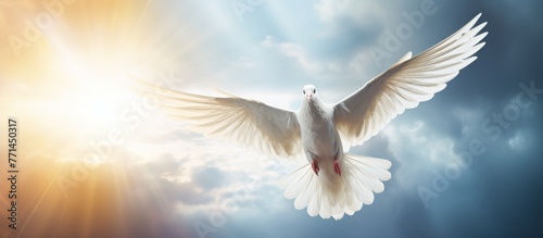 A Charadriiformes bird, the white dove, gracefully soars through the sky with its wings spread, displaying the beauty of wildlife and the science of aerodynamics photo