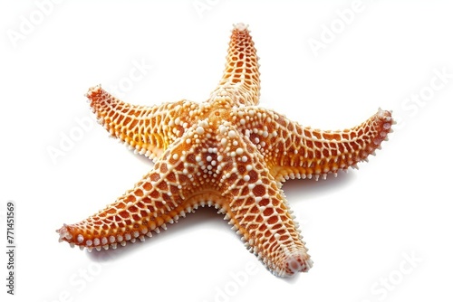Starfish or sea star isolated on white background with clipping path. Full Depth of field. Focus stacking. PNG. Generative AI 