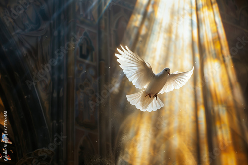 White dove - Holy Spirit in rays of light.