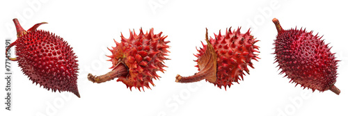 Set of a Annatto is in the on a transparent background © Wajed