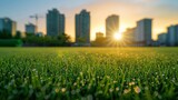 Sunrise over an urban park with fresh dew on grass blades, with soft-focus high-rise buildings in the background.