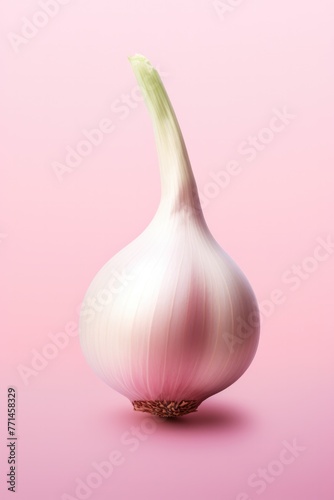 One shallot on light colour background. Close up image. © Twomeows_AS