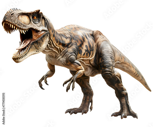 A t rex dinosaur isolated on white transparent background, PNG File. Perfect for clipart   © Alice a.