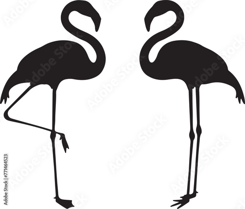 Pelican illustration. black view. Hunting fish in the water