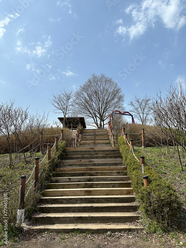 나무 계단