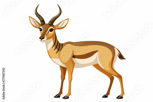 Pronghorn vector with white background.