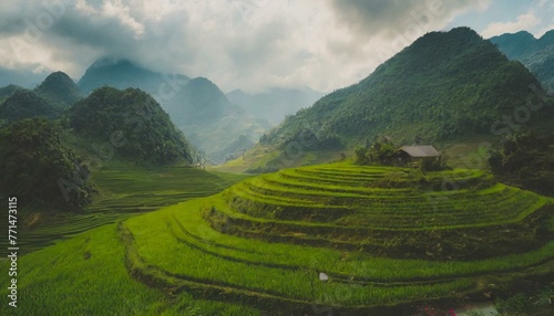 Beautiful green landscape with rice fields terraces, mountains in background.  photo