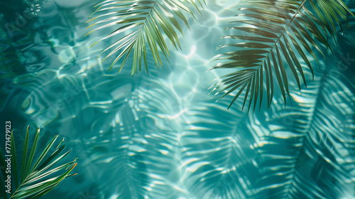 Palm leaves on the water s surface  beautiful summer picture  summer concept  vacation on the beach  vacation advertisement