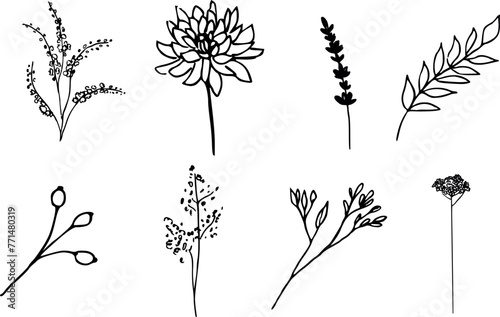 Hand drawn flowers collection. Line art vector set. Floral Design elements 