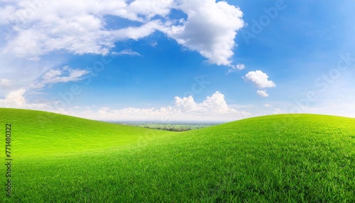 grass with blue sky background © HORA STUDIO