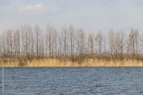 waves on the surface of the river in sunny weather