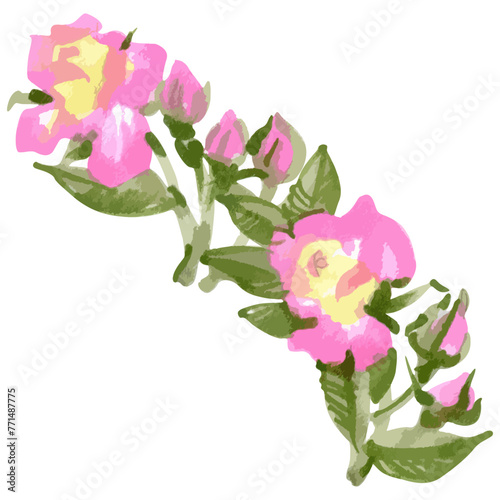 Vector sketch markers illustration of rose flower sketch isolated on white background.