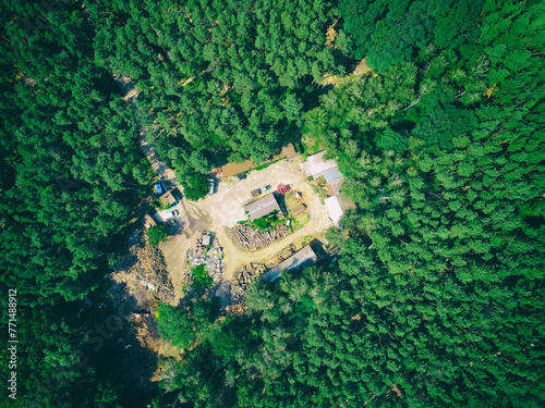 Forest condition monitoring