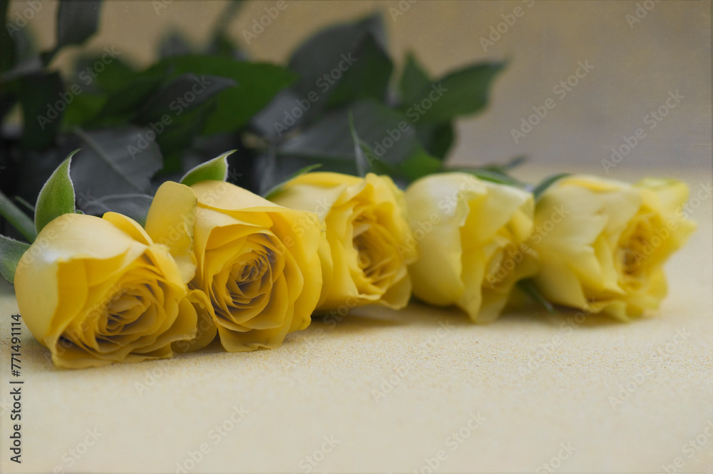 Fünf gelbe Rosen