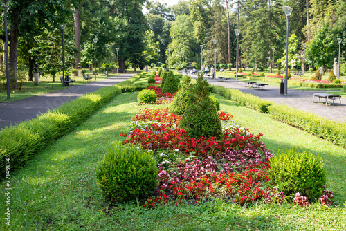 Fototapeta Naklejka Na Ścianę i Meble -  Public park with lush flowers, trees and bushes in summer