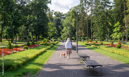 Woman and dog - Cavalier King Charles Spaniel - walking in a public park with lush flowers, plants, grass and trees
