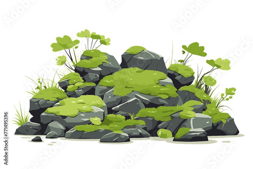 moss grows on rocks. Vector flat illustration