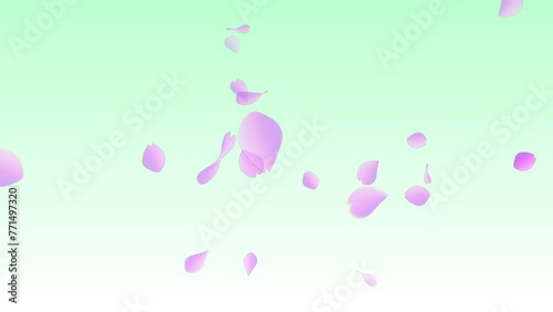 さくら　少　緑背景