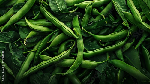 Green beans are a type of vegetable that is often used in salads and soups. They are also a good source of protein and fiber. photo