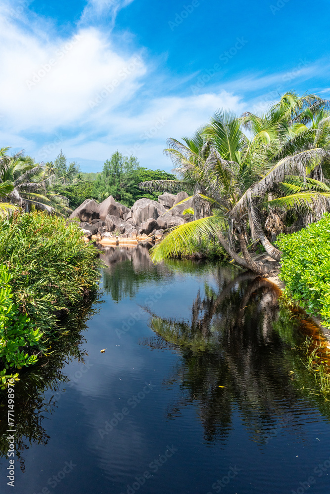 La Digue freshwater pond, Seychelles