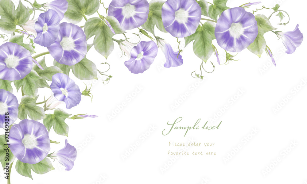 水彩で描いた紫のアサガオのフレーム（ポストカード）