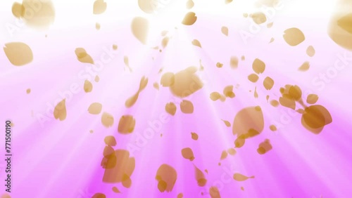 さくら　多　ボリュームライト