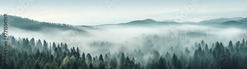 Super Ultrawide Foggy Tree Tops Forest Background © Mikee