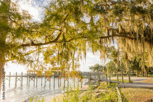 Scenic view of a picturesque lake with a peaceful pier and lush in Fairhope, Alabama