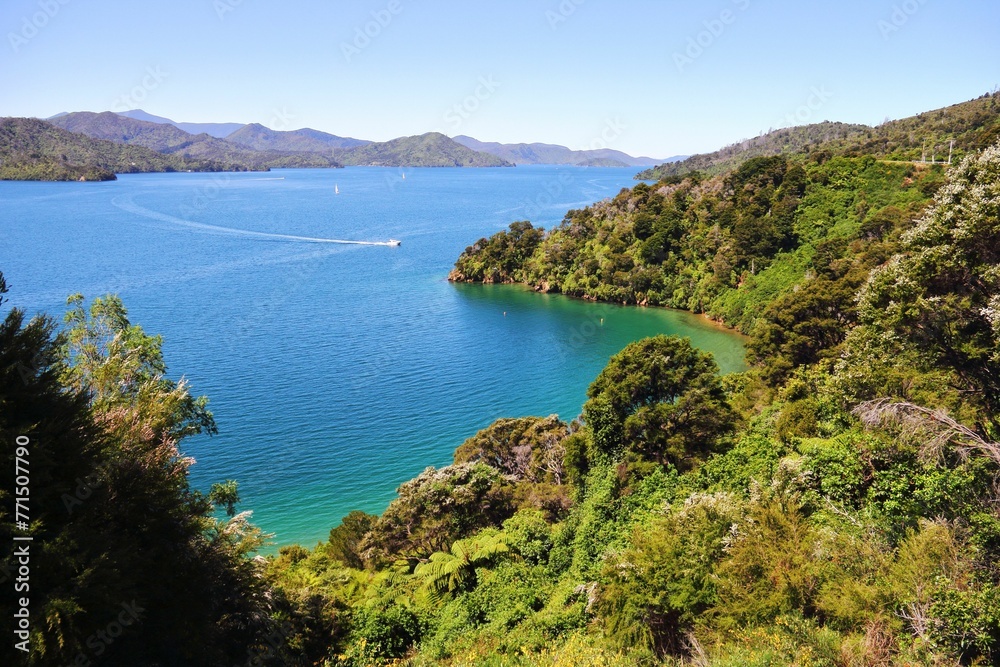 Breathtaking view of the winding waterways of the Marlborough Sounds. New Zealand.
