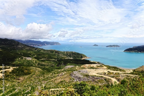 Breathtaking view of the green shoreline and blue sea. Marlborough Sounds  New Zealand.