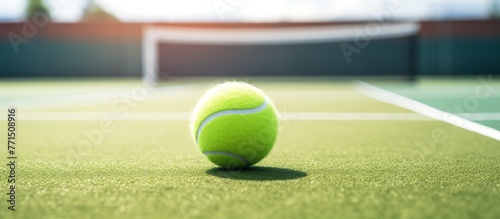 A tennis ball rests on the grass court, a vital piece of sports equipment used in the game of tennis, which is a popular ball game played on indoor or outdoor flooring © AkuAku
