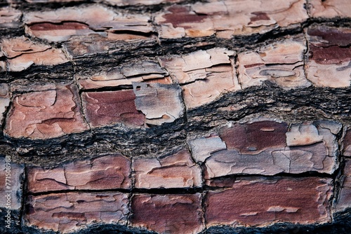 a large log with a lot of red bricks on top of it photo