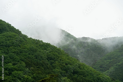 Picturesque view of lush  green hills surrounded by clouds