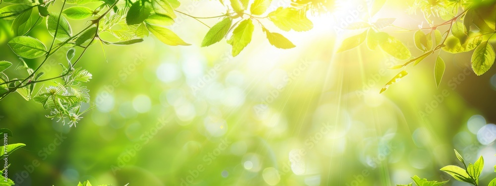 Beautiful natural spring summer defocused background with fresh lush foliage and bokeh in nature. Beautiful natural spring summer defocused background with fresh lush foliage and bokeh in nature.