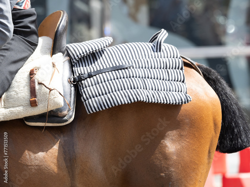 Detail of te rumpera of the horse saddle for the rider when he rides the rump