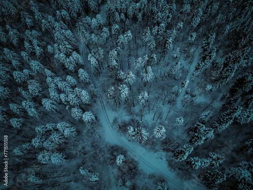 Aerial view of a serene winter forest in snow illuminated at night in Dolenjska, Slovenia photo
