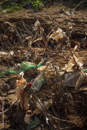 Canvastavla Vertical shot of a barren bush covered in plastic waste