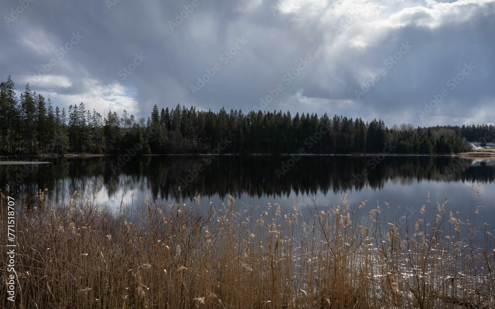 Picturesque landscape of a lush forest and tranquil lake below, with a cloudy sky above