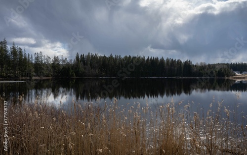 Picturesque landscape of a lush forest and tranquil lake below, with a cloudy sky above