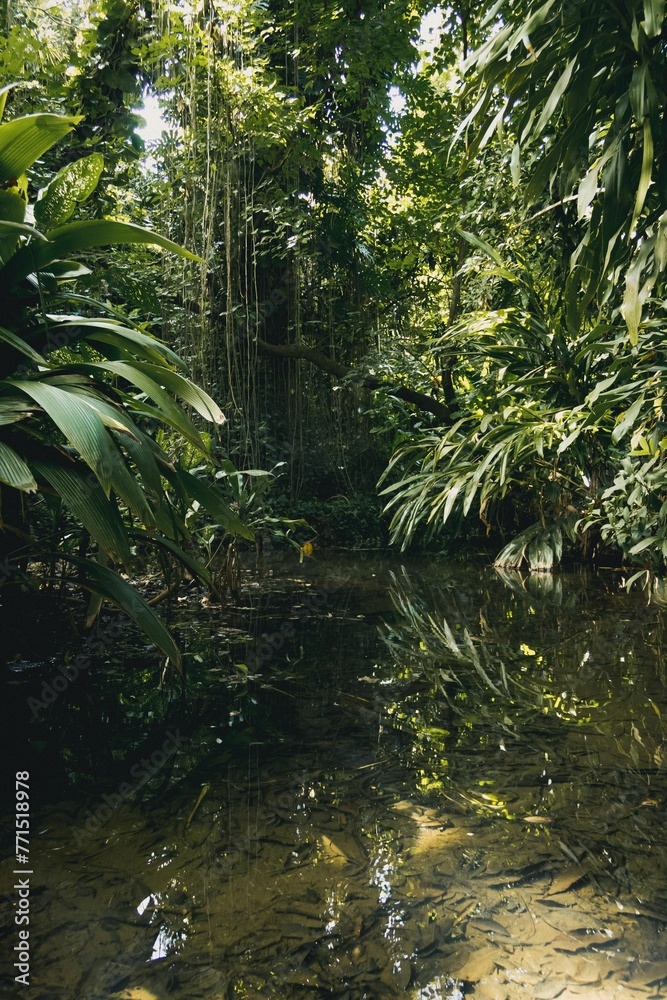 Picturesque landscape of a winding stream surrounded by lush greenery Picturesque landscape of a winding stream surrounded by lush greenery