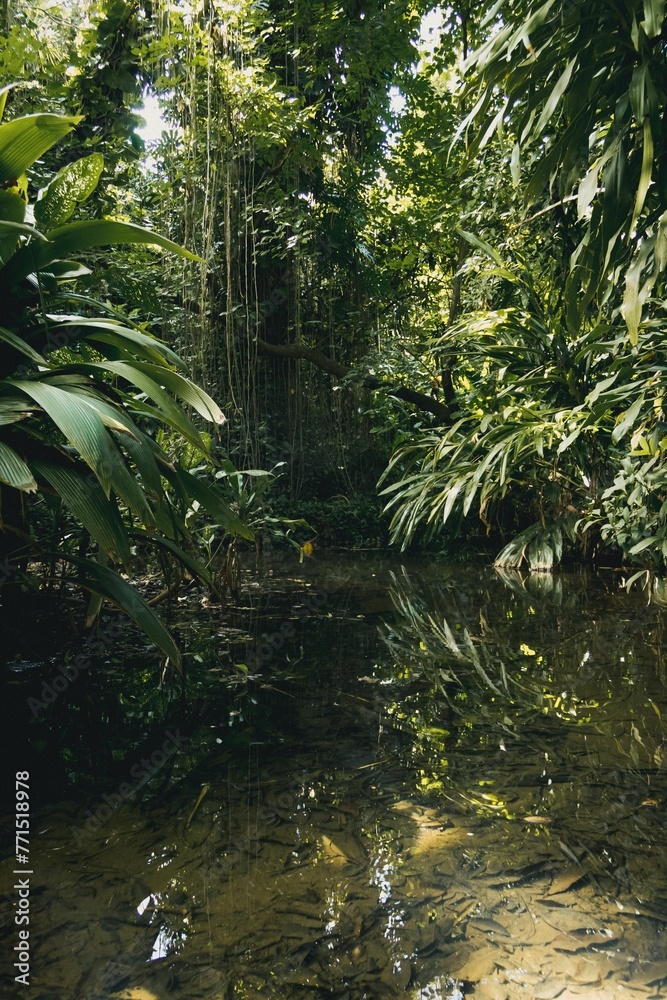 Picturesque landscape of a winding stream surrounded by lush greenery